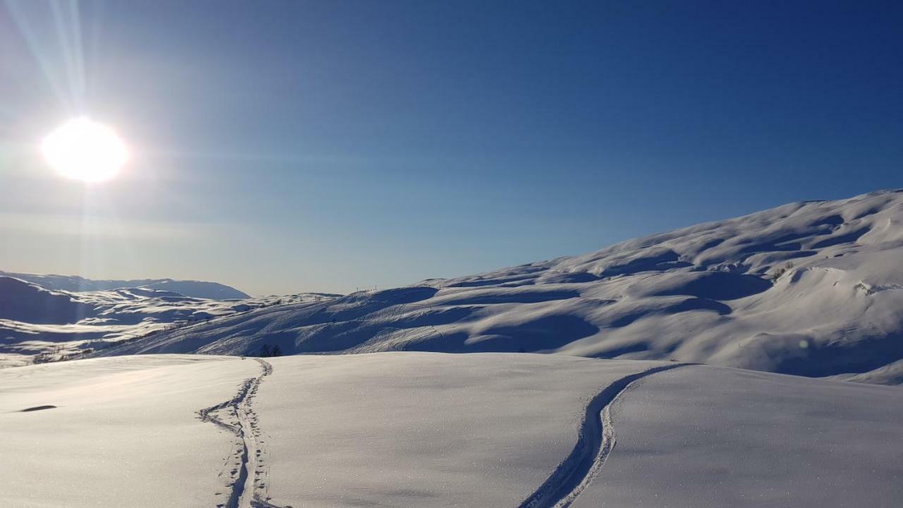 Timblalodgen Sogndal Exterior photo